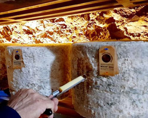 Cave aged cheddar cheese