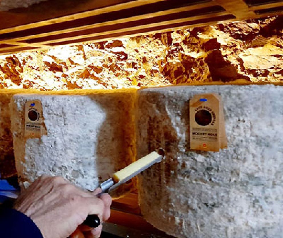 Cave aged cheddar cheese